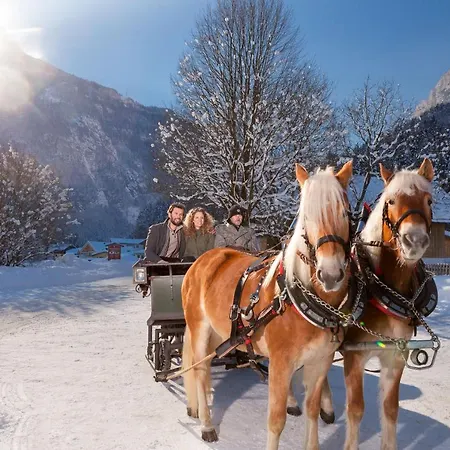 Happy Family, Famous Areas Around Us,15 Min To Salzburg, Mountainview غولنغ ان دير سالزا